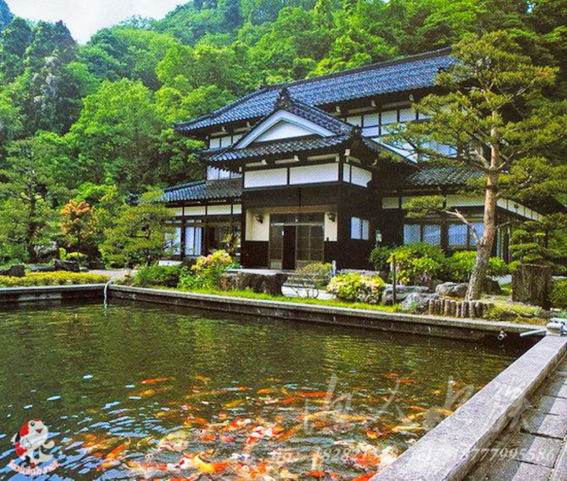 介绍几款来自"中鲤"的经典锦鲤鱼池设计