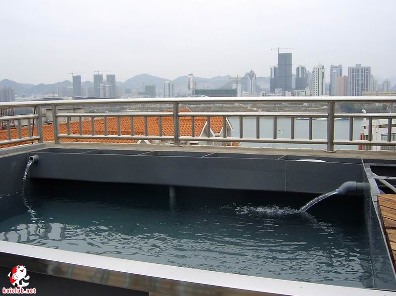 特色轻体楼顶鱼池(6毫米滴pvc板材,不锈钢箍加固)!