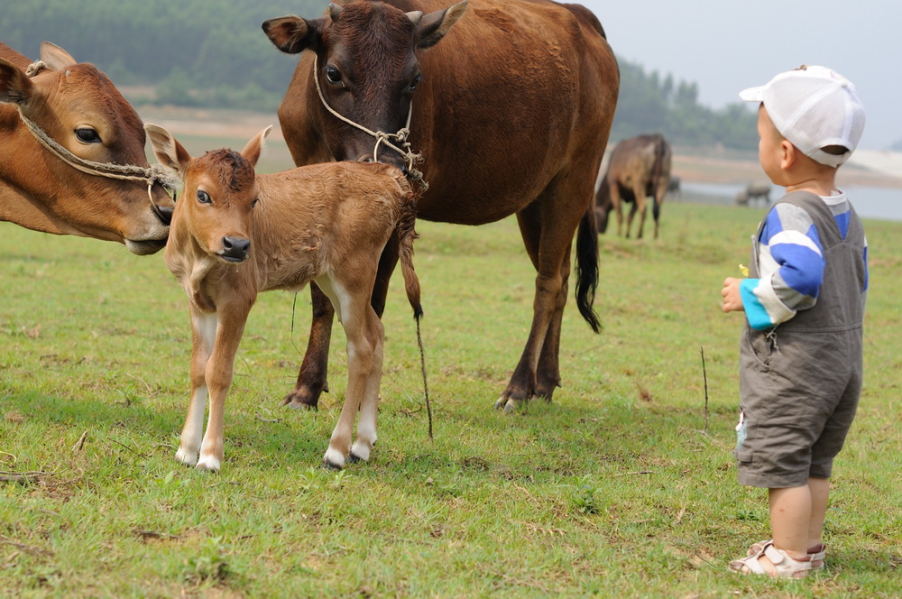 亲子活动——合浦酷爸靓妈群放牛牛尾岭水库【4.27首页推荐】