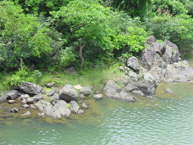 十万大山之旅游防城冲皇沟图片