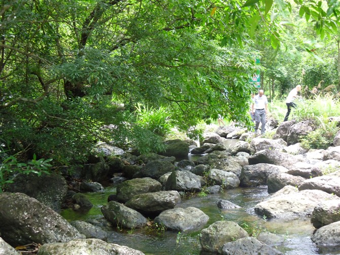 十万大山之旅游防城冲皇沟图片