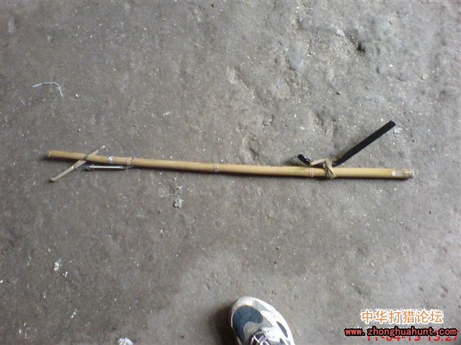 毒蛇藏身衣柜扰民 消防及时抓捕解忧(附"作战"图)