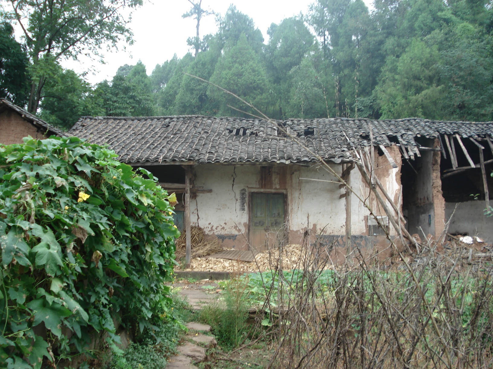 80年代以前的房子,已经不能再住人了