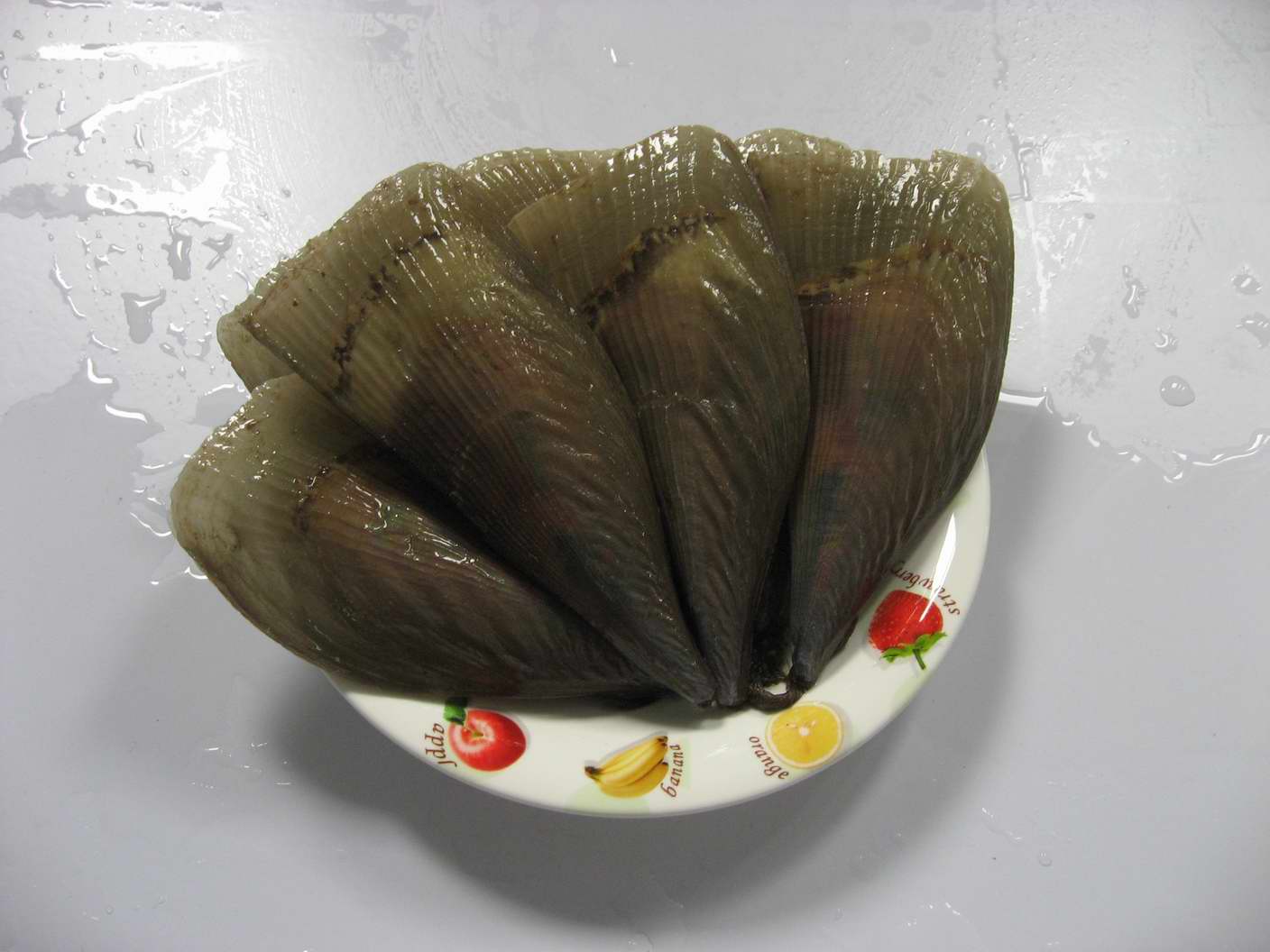 北海贝类知识大普及,海浪共鸣石带你认识一下北海产的贝类