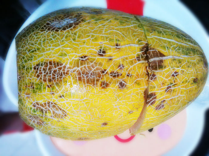 看下底部,全部霉烂!