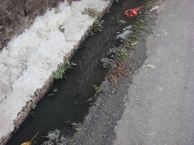 水沟的水积得满满的!