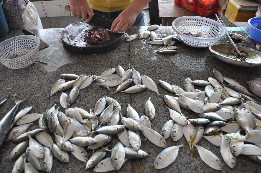 北海市场上"鱼少,鱼小,鱼次",卖鱼婆讲"北海人穷,食无起靓鱼"(图)