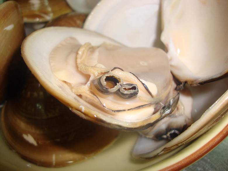 这么大的车螺一般都是白切.