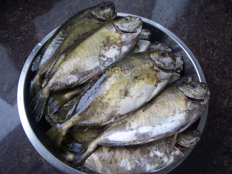 清理好了的泥鯭