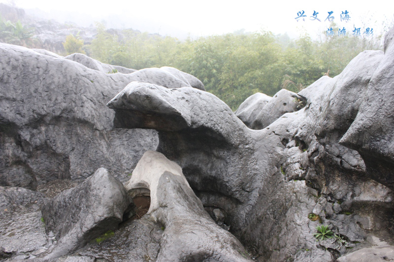 到四川第一個世界地質公園興文石海賞三大喀斯特奇觀:天坑,石林,溶洞