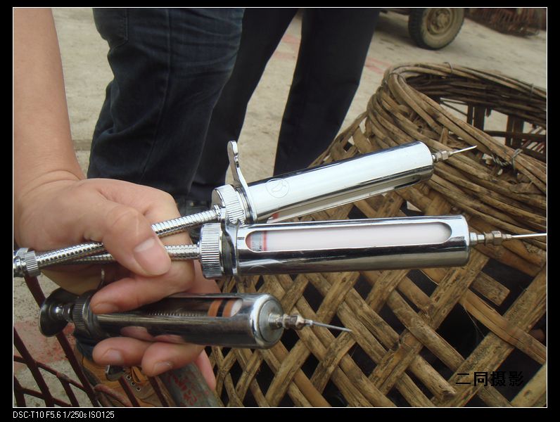 清明烧金猪拜祖公,带大家去探索北海神秘的猪墟,可见一尺长的打猪针