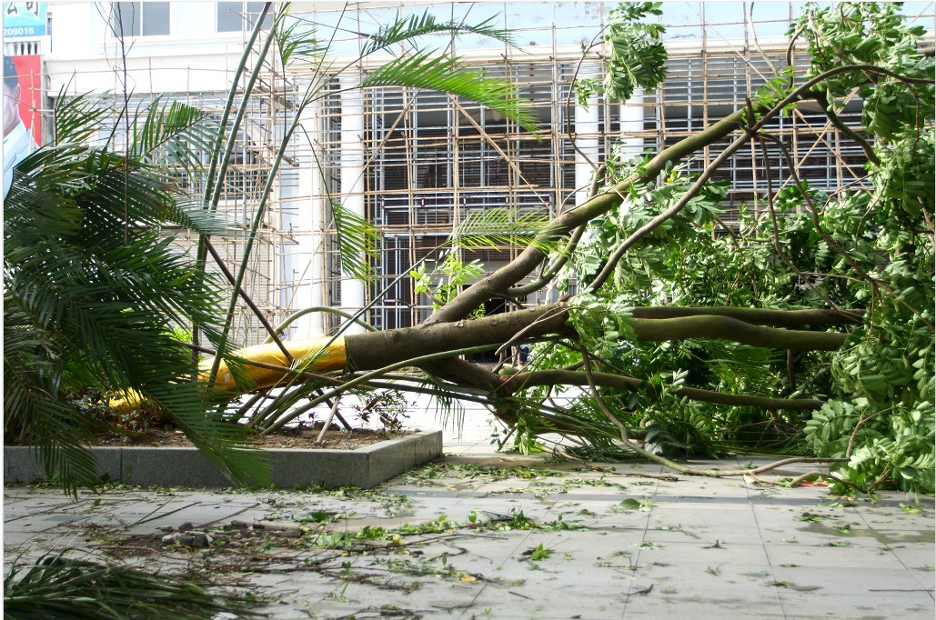 台风过后的北海(多图)