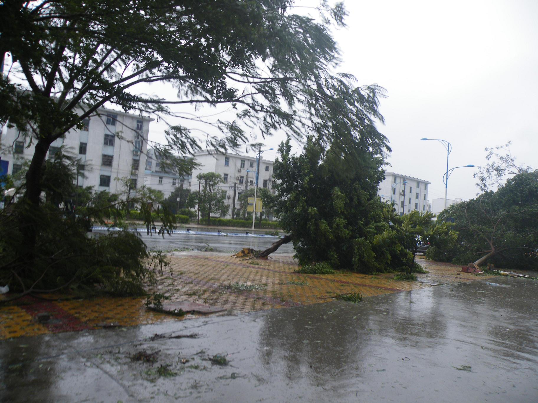 网友拍图台风启德肆虐的北海