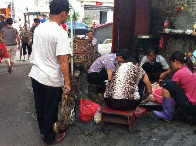 现在宰鸭贵身噢七月十四鬼节本地鸭卖10蚊一斤宰只鸭却要15蚊啊图