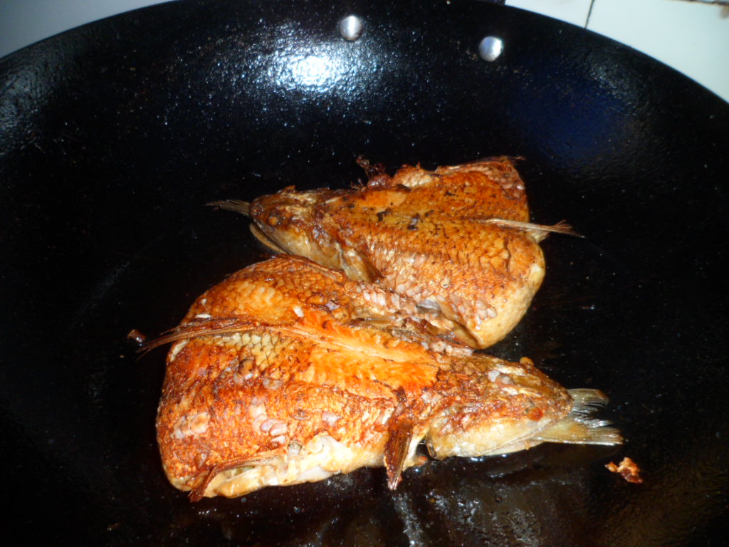 发一下我自家的葵龙鱼