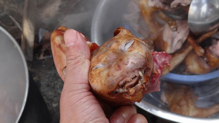 摇水井海泳队启动柴火菜活动基金买了五只生猫宰杀获30多斤猫肉红焖