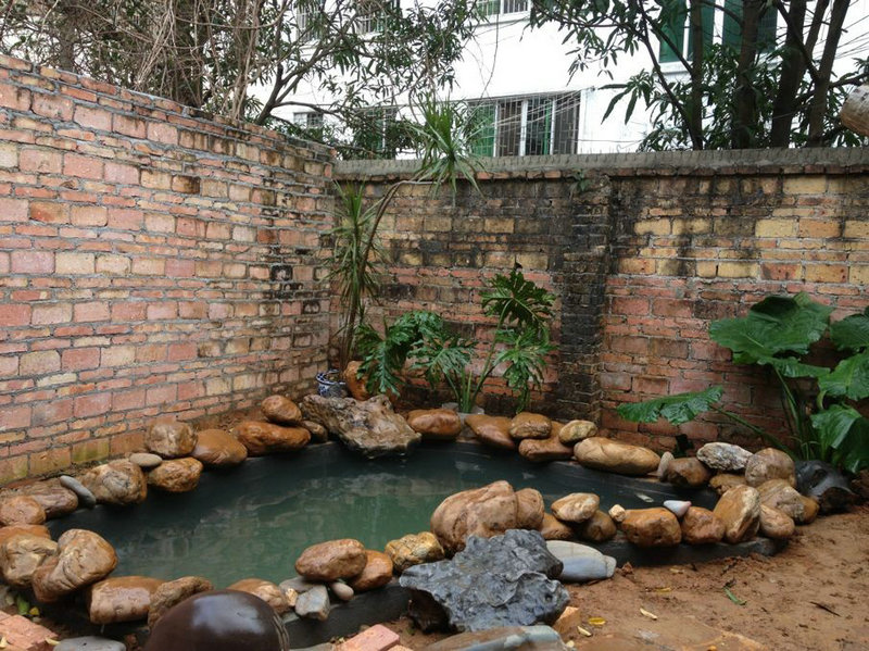 后院锦鲤池建池过程记录.