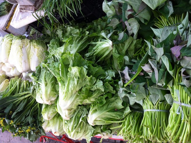 北海的青菜贵到吓人,好多叶菜卖到4块钱一斤了