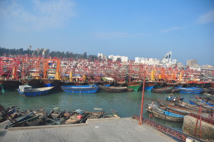 休渔前实拍北海侨港码头的繁忙景象