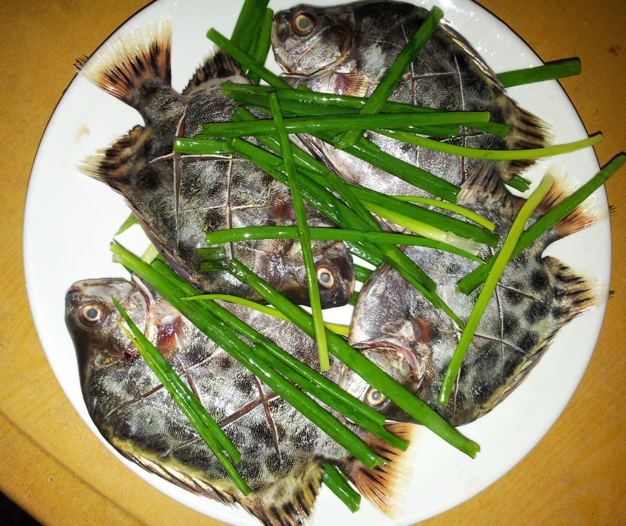 清蒸金古鱼.