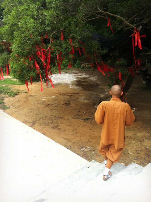 哥来拆穿南万"悟佛寺"这间假寺庙和里面的假和尚!