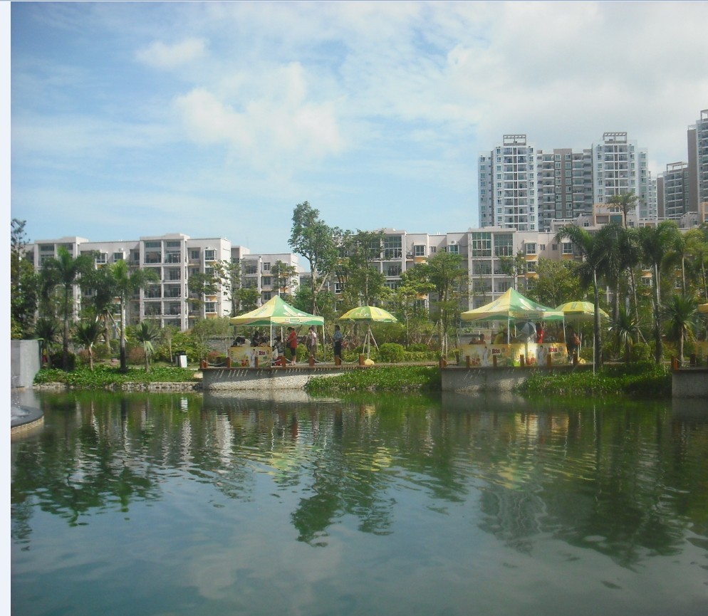 我家毛毛的画-【蓝海银湾特约】"我家住在公园里"儿童绘画比赛