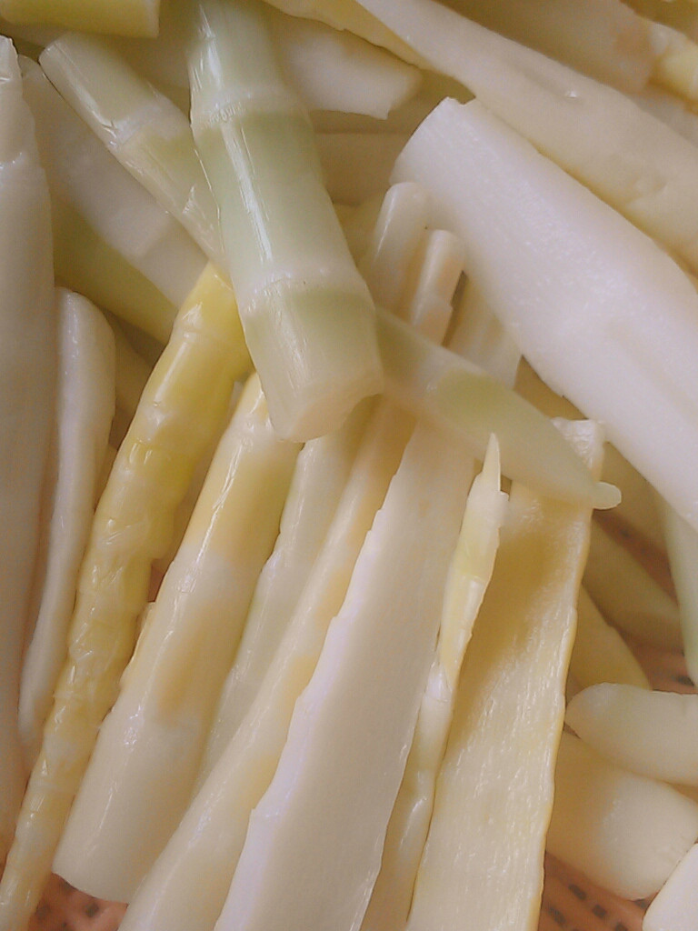 家常菜之香菇竹笋排骨 牛肉粥