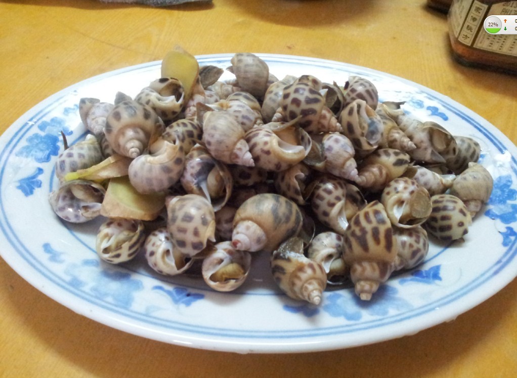 白灼香螺,在众多白灼螺之中算是比较好食的一种螺.