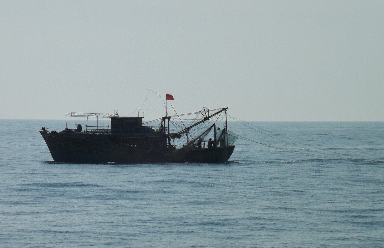 大件事:北海渔船非法电网捕捞上了《新闻联播》!