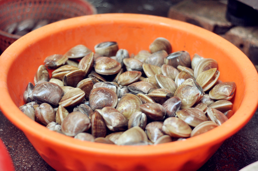 在90年的时候, 滩涂到处都是车螺,随便挖泥沙都能挖到大小不一的车螺.