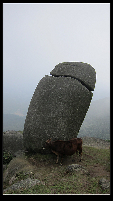 重阳节到浦北登五皇岭看巨阳