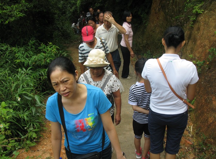 重陽節登浦北公豬脊森林公園