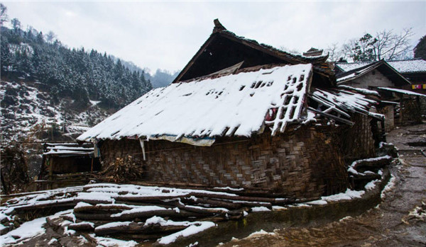 百色隆林县的志愿者发来的最新照片