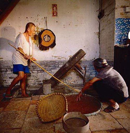 踏碓在踏碓的时候,我往往也是会参加的,站在母亲旁边,人小力不大,踏在