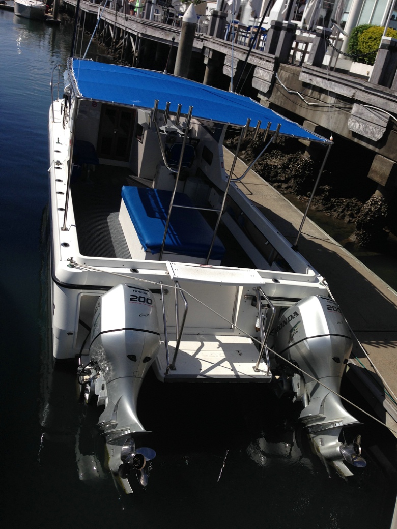 在澳大利亚钓鱼(下)