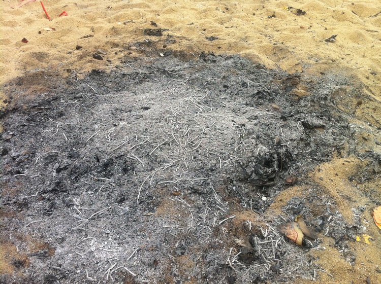 海滨公园的沙滩上满是垃圾火堆灰烬北海人看了都会气愤