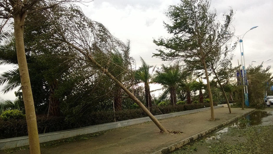 台风"威马逊"肆虐后,第二天的北海部分残像,在自然灾害面前,人类显得