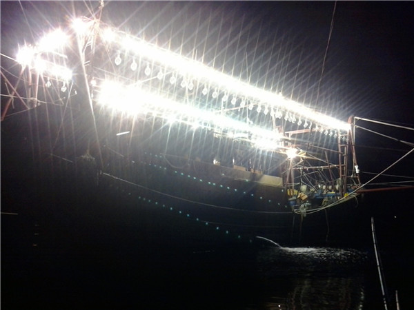 乘风破浪29涠油11-1圆了我们一次又一次的马鲛梦