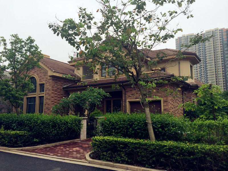 森海豪庭〓独栋别墅急售 占地近一亩