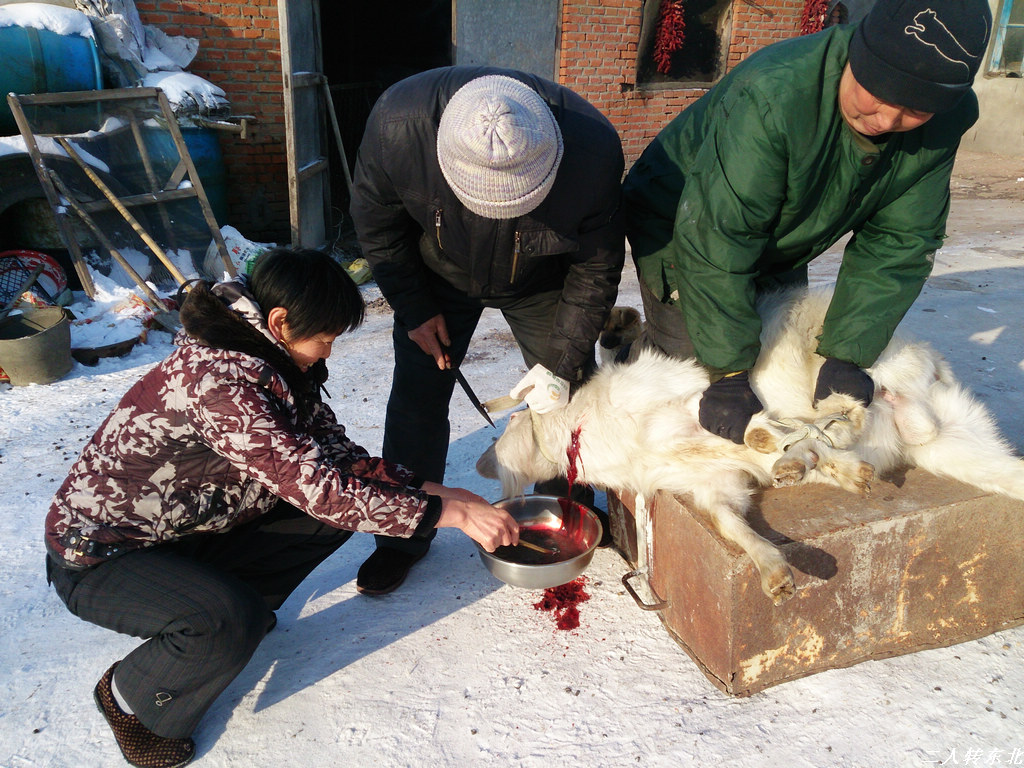 朋友很热情,杀鸡宰羊伺候
