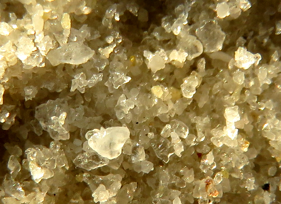 第一缕阳光映照下的银滩沙子(放大约100倍)