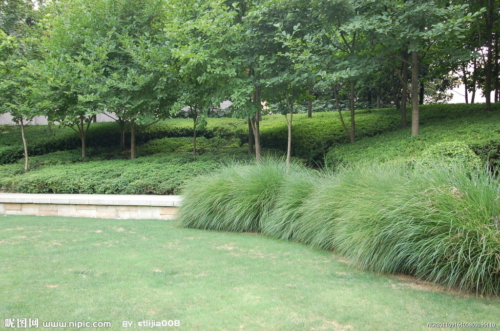 北京路与西南大道交界06年新房123平米步梯3楼送装修仅售43.8万