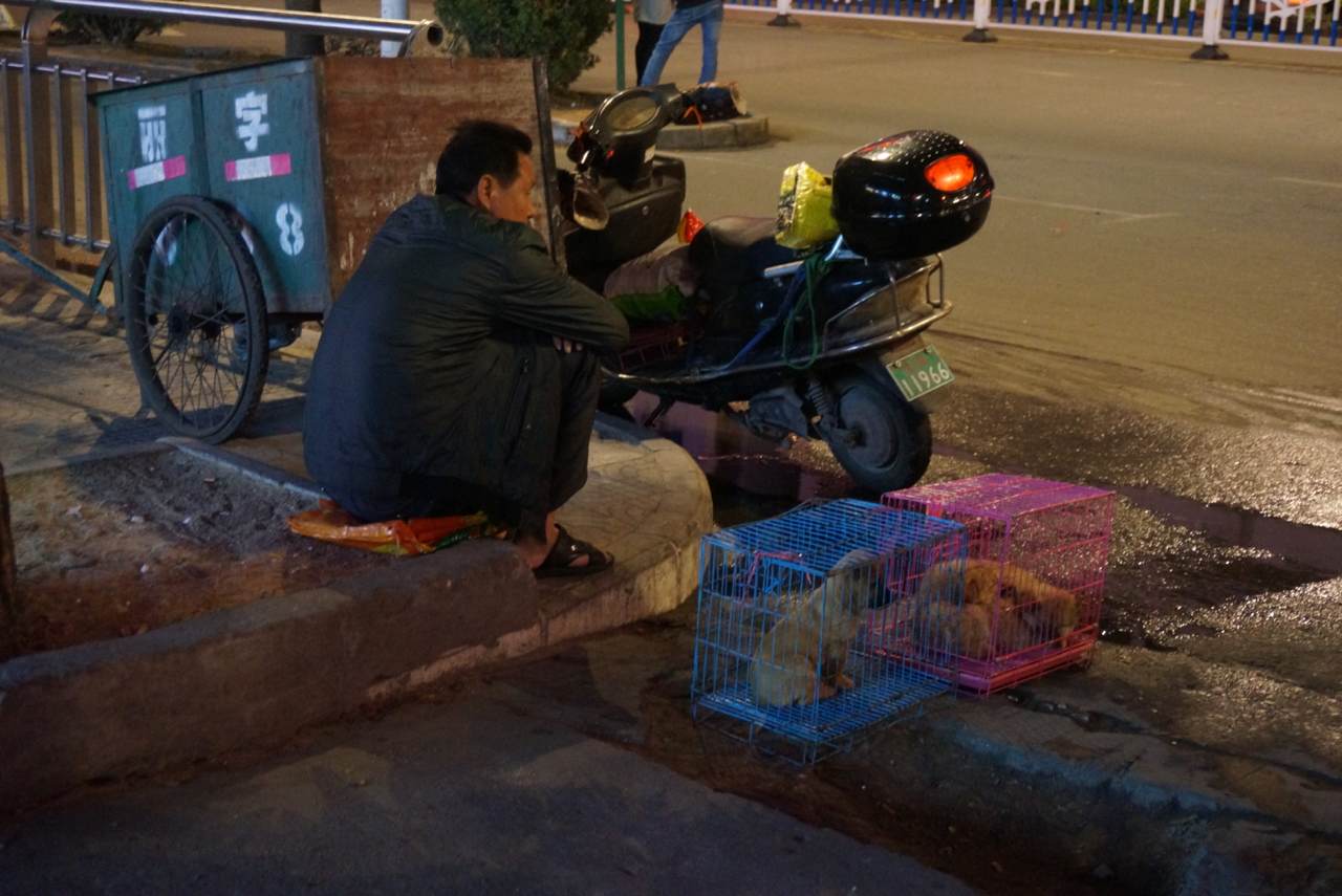 吃完年夜飯了,回家路上看看年三十晚的還在為生活忙碌的那些人