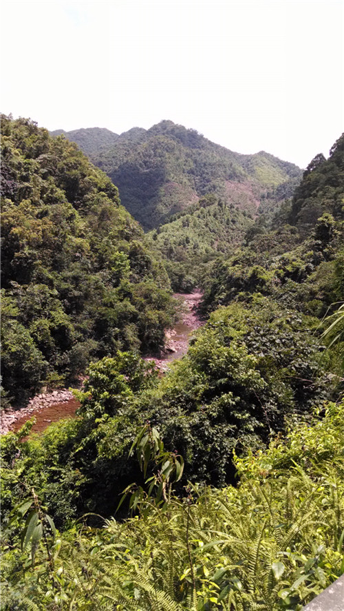 北海光阳俱乐部十万大山剿匪记
