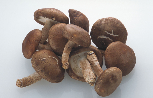 河池,环江,马山风味美食——北海"双江美食"于水果市场恭候您