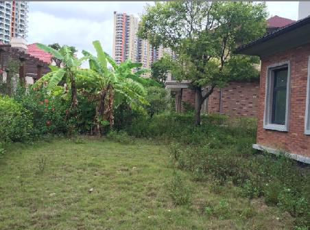 森海豪庭二期 独体别墅 总占地1亩 建筑面积312平米 花园400平米