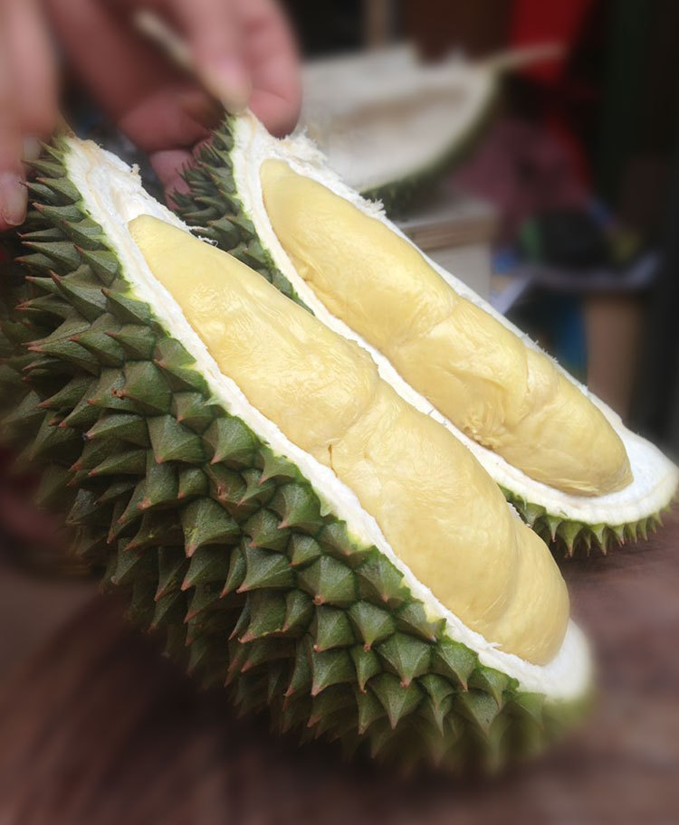 中秋送礼一级越南青皮猫山王牛奶榴莲