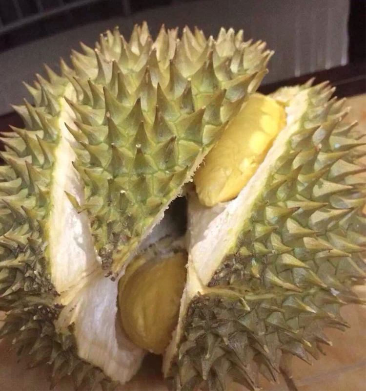 中秋送礼一级越南青皮猫山王牛奶榴莲