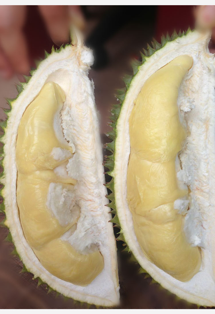 中秋送礼一级越南青皮猫山王牛奶榴莲