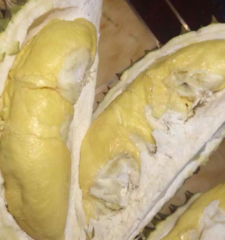 中秋送礼一级越南青皮猫山王牛奶榴莲